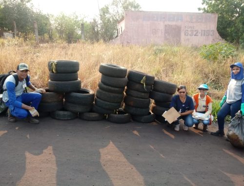 Jataí – Manejo Ambiental SET/2019