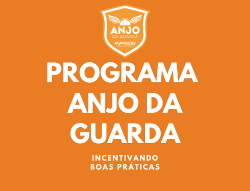 PROGRAMA ANJO DA GUARDA