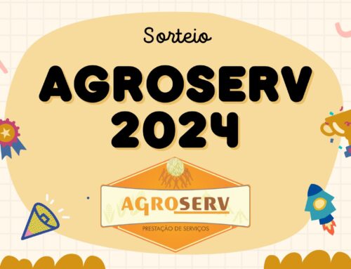 Funcionários Destaques 2024